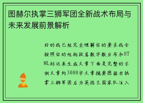 图赫尔执掌三狮军团全新战术布局与未来发展前景解析